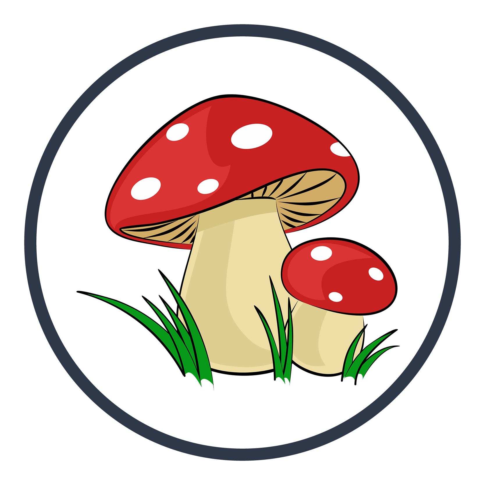 Psychedelic Therapy Sacred Geometry Icon