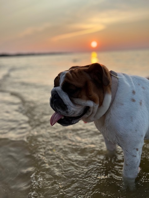 Colby, Chief Barketing Officer